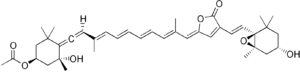 Skeletal formula