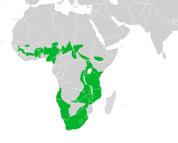 Map showing the breeding areas in Africat