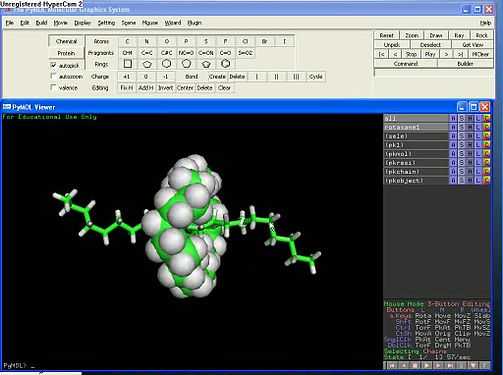 File:PyMOL.ogg