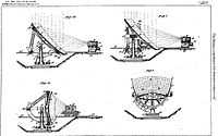 Pyreliophorus 02.jpg