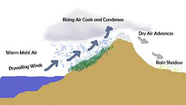 Simplified example of the rain shadow effect