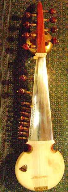 A many-stringed musical instrument, with eight red pegs at one end holding strings, and a long fingerboard that as it widens has further pegs along one edge, holding more strings. The fingerboard ends at a round, covered gourd, with the strings attached at the edge.