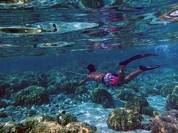 a man with a speargun is freediving over coral