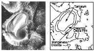 Picture of tantalum with manganese dioxide layer.