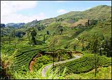 Scenery seen from hill-country Badulla-Colombo railway line