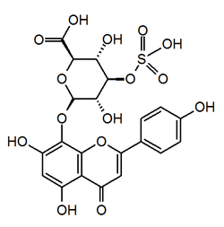 Chemical structure of theograndin I.