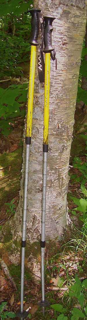 A pair of retractable poles with black handles and three fully extended retractable sections, yellow at the top and metallic silver at the bottom, resting against a birch tree