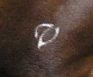 closeup of a white, italic V freeze brand on the hindquarters of a brown horse