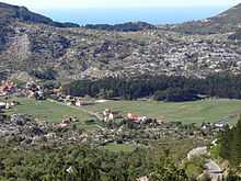 Aerial view of village in summer