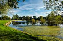 A fishing pond.