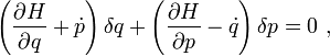 \left({\frac  {\partial H}{\partial q}}+{\dot  {p}}\right)\delta q+\left({\frac  {\partial H}{\partial p}}-{\dot  {q}}\right)\delta p=0~,