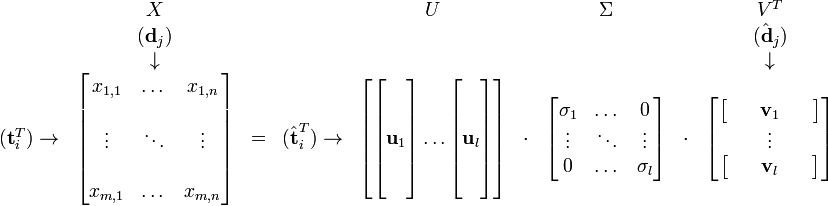 {\begin{matrix}&X&&&U&&\Sigma &&V^{T}\\&({\textbf  {d}}_{j})&&&&&&&({\hat  {{\textbf  {d}}}}_{j})\\&\downarrow &&&&&&&\downarrow \\({\textbf  {t}}_{i}^{T})\rightarrow &{\begin{bmatrix}x_{{1,1}}&\dots &x_{{1,n}}\\\\\vdots &\ddots &\vdots \\\\x_{{m,1}}&\dots &x_{{m,n}}\\\end{bmatrix}}&=&({\hat  {{\textbf  {t}}}}_{i}^{T})\rightarrow &{\begin{bmatrix}{\begin{bmatrix}\,\\\,\\{\textbf  {u}}_{1}\\\,\\\,\end{bmatrix}}\dots {\begin{bmatrix}\,\\\,\\{\textbf  {u}}_{l}\\\,\\\,\end{bmatrix}}\end{bmatrix}}&\cdot &{\begin{bmatrix}\sigma _{1}&\dots &0\\\vdots &\ddots &\vdots \\0&\dots &\sigma _{l}\\\end{bmatrix}}&\cdot &{\begin{bmatrix}{\begin{bmatrix}&&{\textbf  {v}}_{1}&&\end{bmatrix}}\\\vdots \\{\begin{bmatrix}&&{\textbf  {v}}_{l}&&\end{bmatrix}}\end{bmatrix}}\end{matrix}}