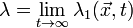 \lambda =\lim _{{t\to \infty }}\lambda _{1}({\vec  {x}},t)