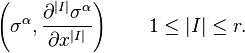 \left(\sigma ^{{\alpha }},{\frac  {\partial ^{{|I|}}\sigma ^{{\alpha }}}{\partial x^{{|I|}}}}\right)\qquad 1\leq |I|\leq r.\,