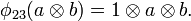 \phi _{{23}}(a\otimes b)=1\otimes a\otimes b.