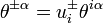 \theta ^{{\pm \alpha }}=u_{i}^{{\pm }}\theta ^{{i\alpha }}