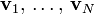 \displaystyle {\mathbf  v}_{1},\,\ldots ,\,{\mathbf  v}_{N}