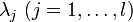 \lambda _{j}\ (j=1,\ldots ,l)