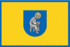 Flag of Pecherskyi District