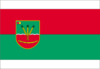 Flag of Holovanivskyi Raion