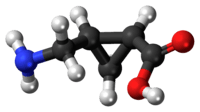 (+)-CAMP molecule