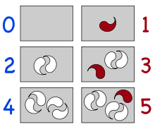 On the left, boxes with 0, 2, and 4 white objects in pairs; on the right, 1, 3, and 5 objects, with the unpaired object in red