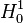 H_0^1