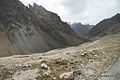 2007 08 21 China Pakistan Karakoram Highway Khunjerab Pass IMG 7356.jpg