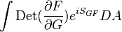  \int \mathrm{Det}({\partial F\over \partial G})e^{iS_{GF}} DA \,