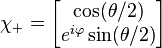 \chi_+ = \begin{bmatrix}
 \cos (\theta/2)\\
 e^{i\varphi} \sin (\theta/2)\\
\end{bmatrix} 
