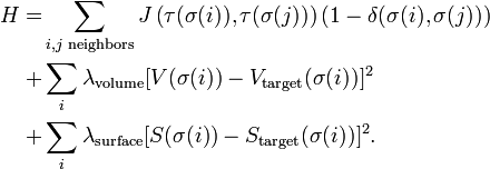 
\begin{align}
H = &  \sum_{ i,  j \text{ neighbors}} J\left(\tau(\sigma(i)), \tau(\sigma( j))\right) \left(1 - \delta(\sigma( i), \sigma( j))\right) \\
+ & \sum_{ i} \lambda_\text{volume}[V(\sigma( i)) - V_\text{target}(\sigma( i))]^2\\
+ &  \sum_{ i} \lambda_\text{surface}[S(\sigma(i)) - S_\text{target}(\sigma( i))]^2 .\\ 
\end{align}
