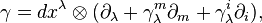 \gamma=dx^\lambda\otimes (\partial_\lambda +\gamma_\lambda^m\partial_m + \gamma_\lambda^i\partial_i), 