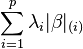 \sum_{i=1}^p \lambda_i|\beta|_{(i)}