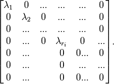 \begin{bmatrix}
\lambda_1      & 0          & ... & ...           & ... &0 \\
0              & \lambda_2  & 0   & ...           & ... & 0 \\
0              &  ...       & ... & ...           & ... & 0\\
0              &  ...       &0    & \lambda_{r_i} & 0 &... \\
 0 & ...      &    & 0             & 0...&0\\
 0 & ...      &    & 0             & ...&...\\
 0 & ...      &    & 0             & 0...&0
 \end{bmatrix}.