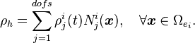 \rho_{h} = \sum_{j=1}^{dofs}\rho_{j}^{i}(t)N_{j}^{i}(\boldsymbol{x}), \quad \forall\boldsymbol{x}\in\Omega_{e_{i}}.