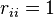 r_{ii}=1