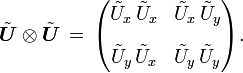 
  \tilde{\boldsymbol{U}} \otimes \tilde{\boldsymbol{U}}\, =\,
  \begin{pmatrix} 
    \tilde{U}_x\, \tilde{U}_x & \tilde{U}_x\, \tilde{U}_y 
    \\[2ex]
    \tilde{U}_y\, \tilde{U}_x & \tilde{U}_y\, \tilde{U}_y 
  \end{pmatrix}.
