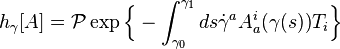 h_\gamma [A] = \mathcal{P} \exp \Big\{-\int_{\gamma_0}^{\gamma_1} ds \dot{\gamma}^a A_a^i (\gamma (s)) T_i \Big\}