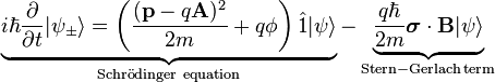 
\underbrace{i \hbar \frac{\partial}{\partial t} |\psi_\pm\rangle = \left( \frac{( \mathbf{p} -q \bold A)^2}{2 m} + q \phi \right) \hat 1 \bold |\psi\rangle }_\mathrm{Schr\ddot{o}dinger~equation} - \underbrace{\frac{q \hbar}{2m}\boldsymbol{\sigma} \cdot \bold B \bold |\psi\rangle }_\mathrm{Stern-Gerlach \, term}