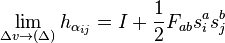 \lim_{\Delta v \rightarrow (\Delta)} h_{\alpha_{ij}} = I + {1 \over 2} F_{ab} s_i^a s_j^b