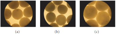 Illustration the of APA microcapsule integrity and morphological changes during simulated GI transit. (a) Pre-stomach transit. (b) Post-stomach transit (60 minutes). (c) Post-stomach (60 minutes) and intestinal (10-hour) transit. Microcapsule size: (a) 608 ± 36 μm (b) 544 ± 40 μm (c) 725 ± 55 μm.