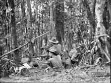 Australian soldiers man a defensive position in the jungle