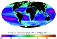 A map of mean surface chlorophyll for the period 1998-2006. NASA SeaWiFS.