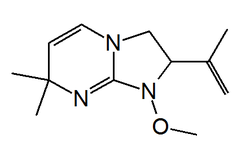 Chemical structure of alchorneine