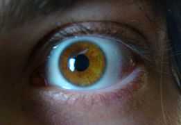 Amber eye1.jpg
