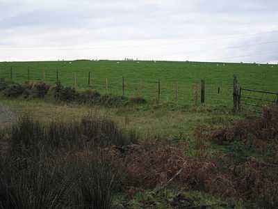 Ancient mounds - geograph.org.uk - 1010269.jpg