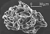 Close up of tiny particle of volcanic ash, showing its many tiny tubular holes.