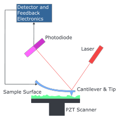 A Atomic Force Microscope