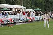 Display of Austin Healey classic British Sports Cars at Roehampton Trophy finals day