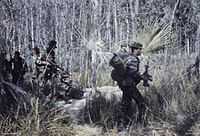 A colour picture of a four man Australian SAS patrol wearing their distinctive "Tiger Stripe" uniforms